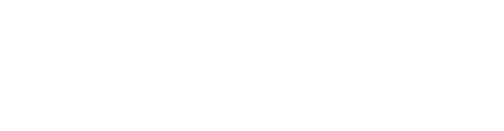 light logo